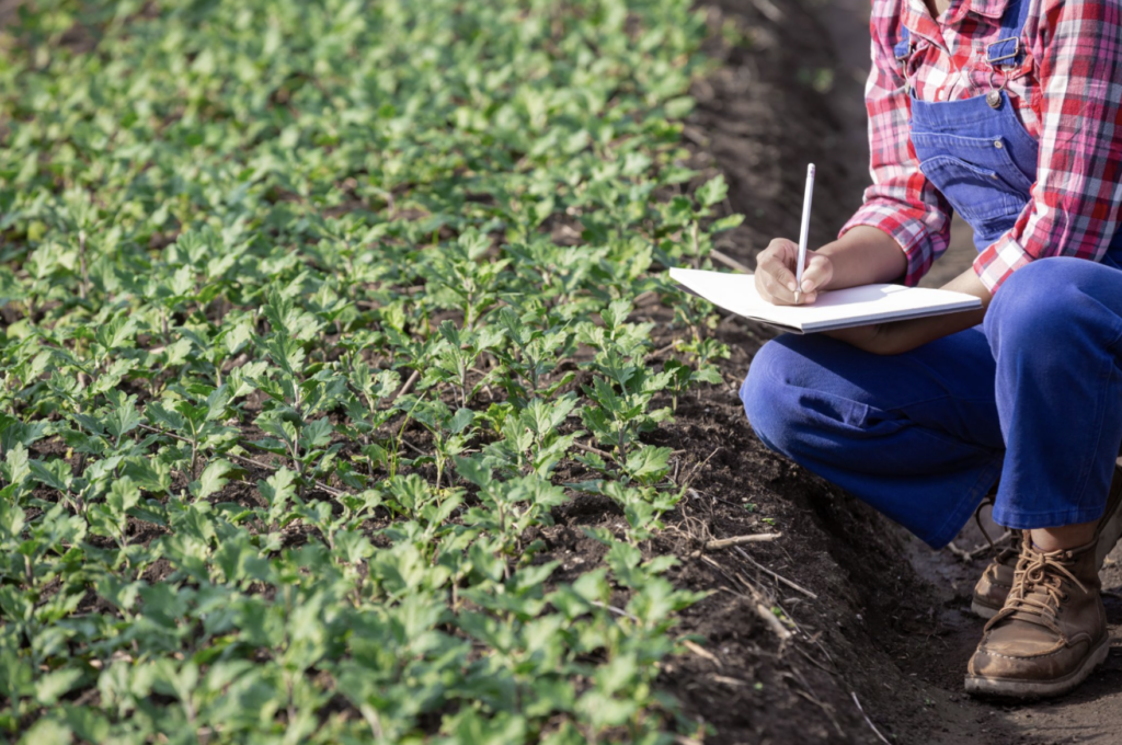 redressement judiciaire exploitation agricole